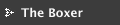 The Boxer